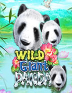 วิธี ถอนเงิน บา ค่า ร่า ufabet อย่างไรให้ได้ผลดีที่สุด